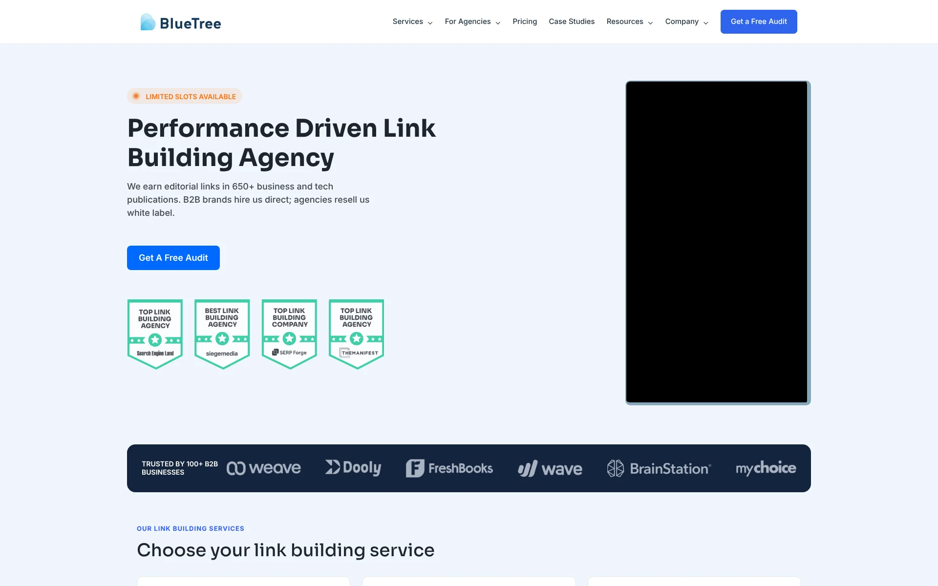 BlueTree homepage screenshot